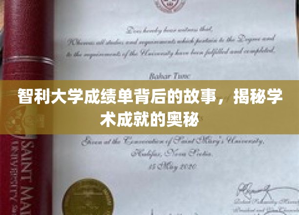 解码智利大学成绩单，探寻学术辉煌的神秘之门