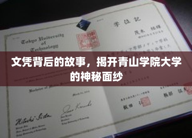 青山学府秘闻录，文凭背后，那些不为人知的传奇故事