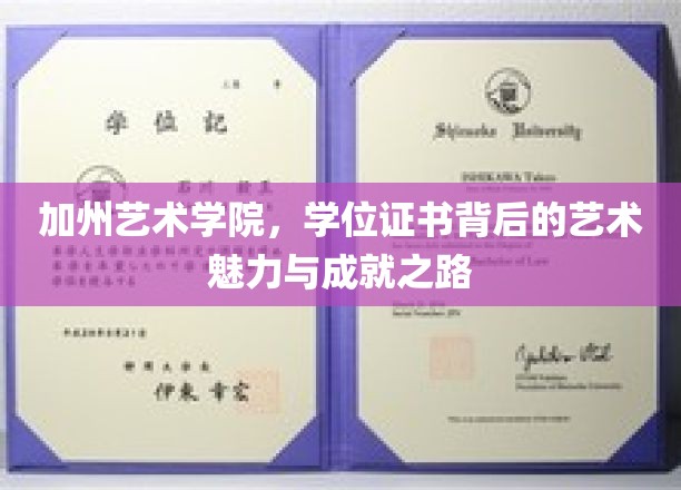 加州艺术学院，学位证书背后的艺术魅力与成就之路