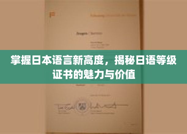 掌握日本语言新高度，揭秘日语等级证书的魅力与价值
