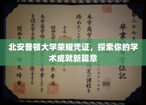 北安普顿大学荣耀启航，解锁你的学术成就新篇章