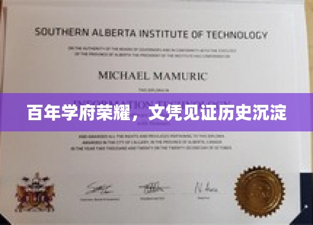 世纪名校荣耀映证，文凭承载时光印记