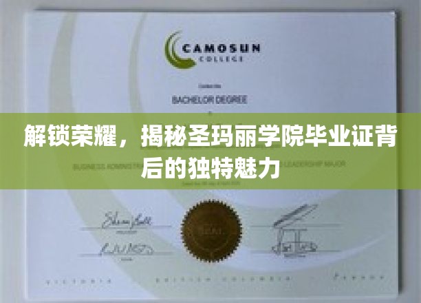 揭开圣玛丽学院毕业证书的荣耀之谜