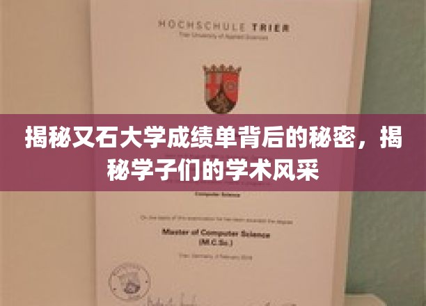 揭秘又石大学成绩单背后的秘密，揭秘学子们的学术风采