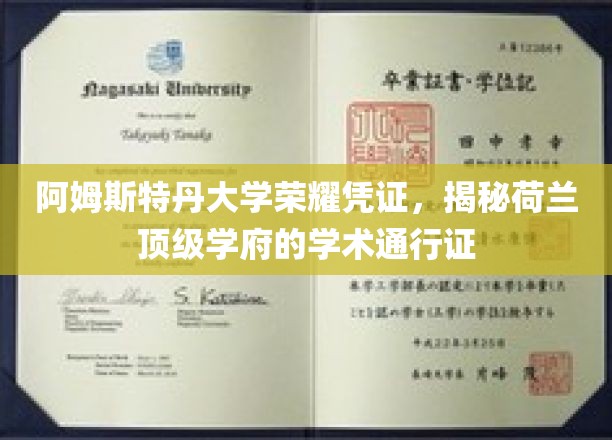 阿姆斯特丹大学荣耀凭证，揭秘荷兰顶级学府的学术通行证