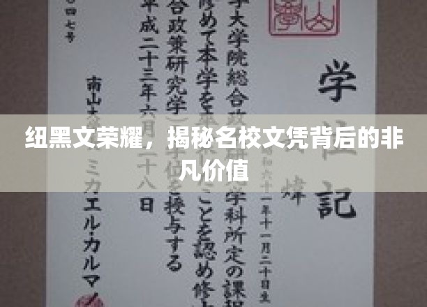 探寻纽黑文名校光环下的珍贵学历价值
