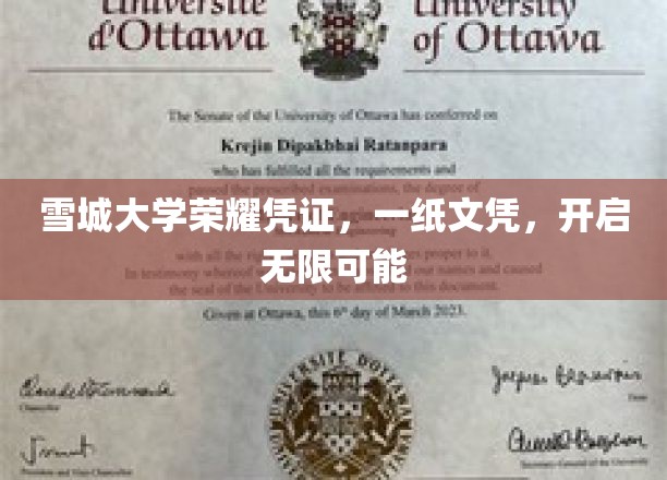雪城大学文凭，解锁人生无限可能的大门
