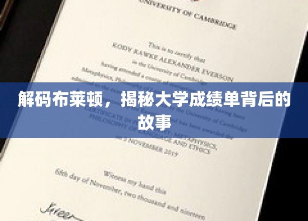 解码布莱顿，揭秘大学成绩单背后的故事