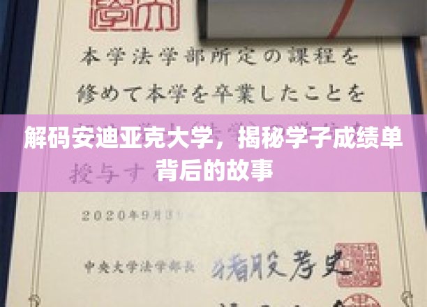 探秘安迪亚克大学，揭秘学霸背后的成长轨迹
