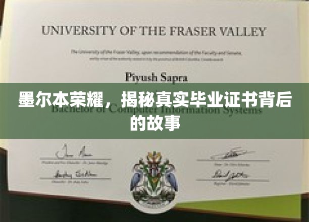 墨尔本荣耀，毕业证书背后不为人知的传奇历程