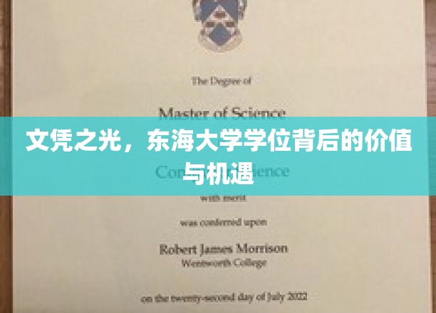 文凭之光，东海大学学位背后的价值与机遇