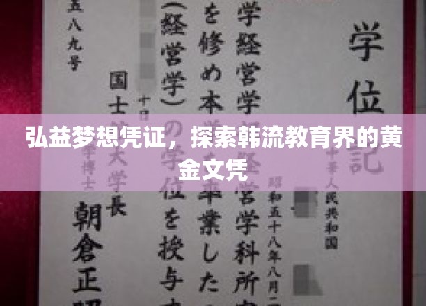 弘益梦想通行证，揭秘韩流教育界的璀璨黄金文凭之路