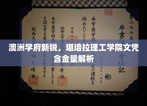 澳洲教育新势力，堪培拉理工学院学位价值探秘