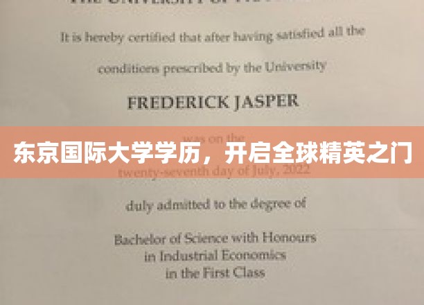 东京国际大学荣耀学位，引领世界精英新征程