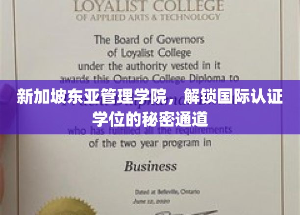 揭开新加坡东亚管理学院国际学位的神秘申请之门