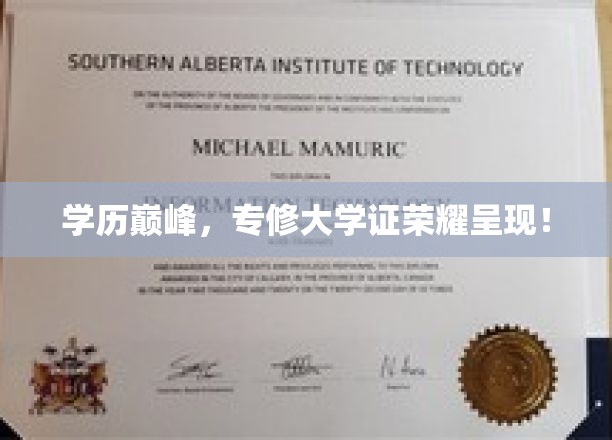 学历巅峰荣耀，专修大学证闪耀登场！