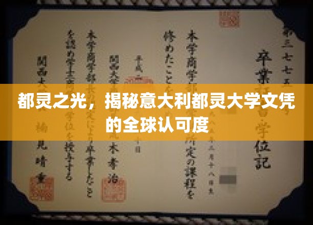 跨越国界的光辉，探寻都灵大学文凭的国际影响力