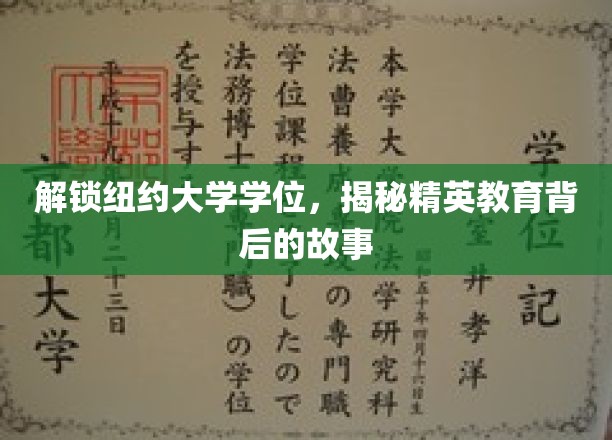 解锁纽约大学学位,揭秘精英教育背后的故事