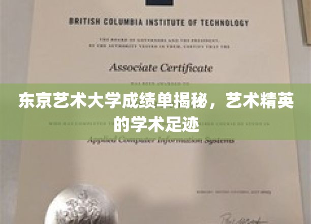 东京艺术大学成绩单揭秘，艺术精英的学术足迹