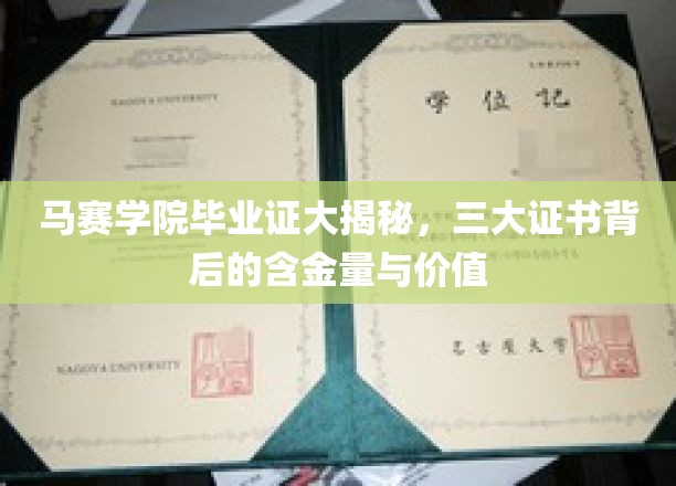 揭开马赛学院毕业证之谜，探究三大证书的惊人价值与内涵