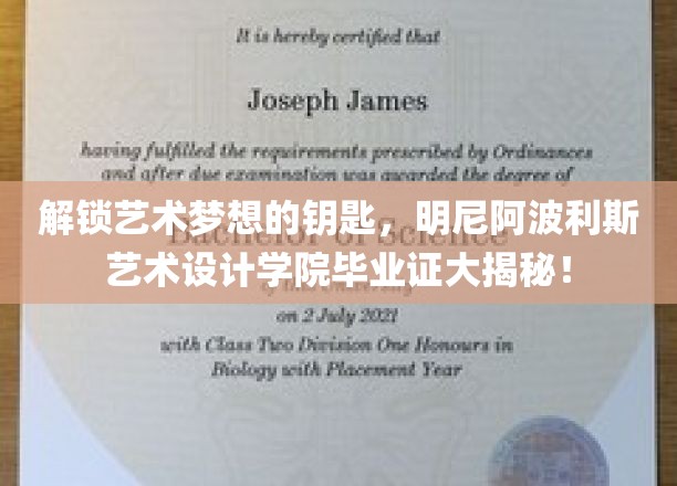 艺术殿堂的通行证，揭秘明尼阿波利斯艺术设计学院毕业证背后的故事