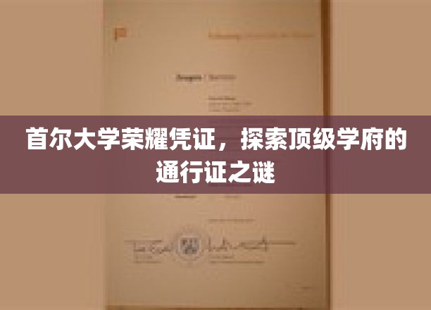 首尔大学荣耀凭证，揭秘顶级学府的通行证之谜