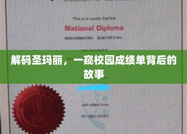 揭秘圣玛丽校园，揭秘成绩单背后的传奇故事