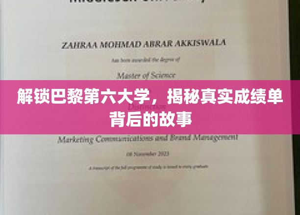 巴黎第六大学揭秘，探寻成绩单背后的非凡传奇