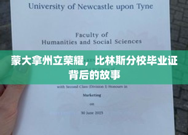 蒙大拿荣耀之路，揭秘比林斯分校毕业证的传奇故事