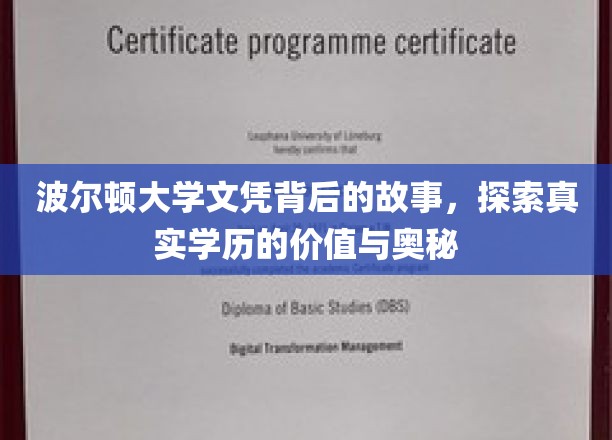揭秘波尔顿大学文凭背后，学历的真相与价值探寻之旅