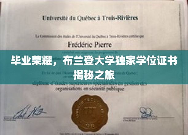 探寻布兰登大学荣耀，独家学位证书背后的故事