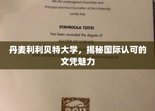 丹麦利利贝特大学，揭秘国际认可的文凭魅力