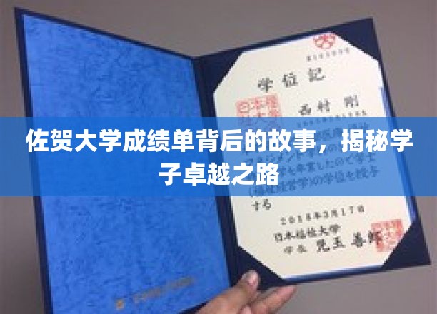 探寻佐贺学子卓越之路，揭秘成绩单背后的动人篇章