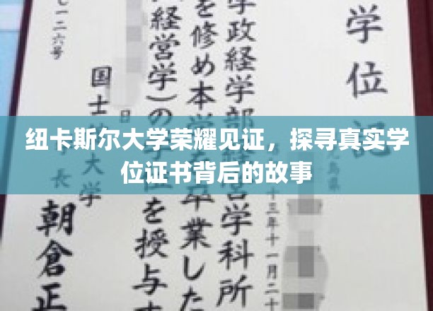 纽大荣耀揭秘，学位证书背后的传奇历程