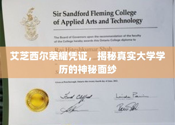 揭开艾芝西尔荣耀凭证背后的真实学历之谜