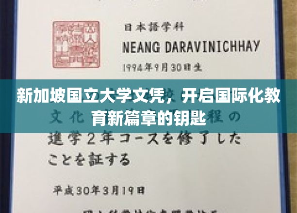 解锁国际视野，新加坡国立大学文凭，引领教育全球化新航程