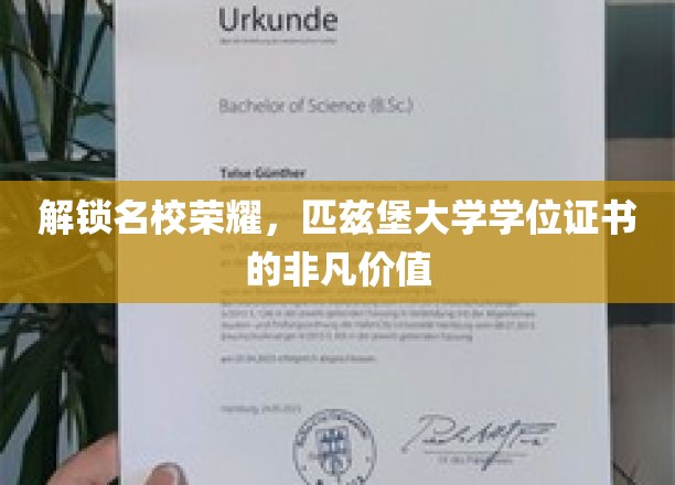 解锁名校荣耀，匹兹堡大学学位证书的非凡价值