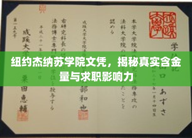 纽约杰纳苏学院文凭，揭秘真实含金量与求职影响力