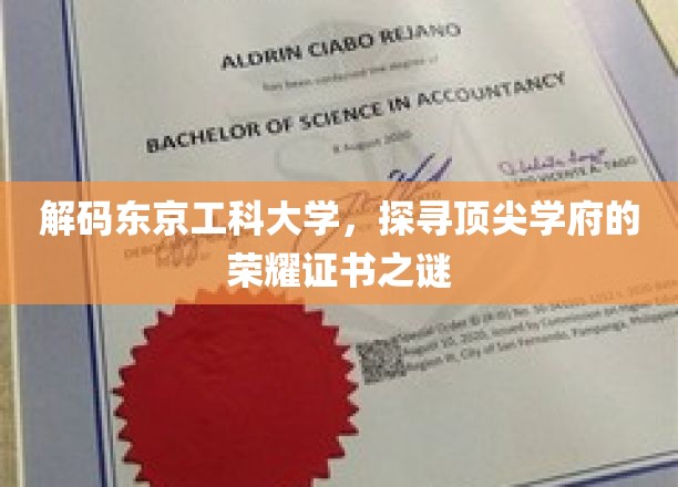 解码东京工科大学，探寻顶尖学府的荣耀证书之谜