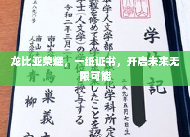 龙比亚荣耀，一纸证书，开启未来无限可能