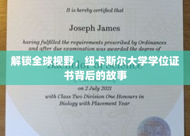 跨越国界，一探纽卡斯尔大学学位证书背后的精彩篇章