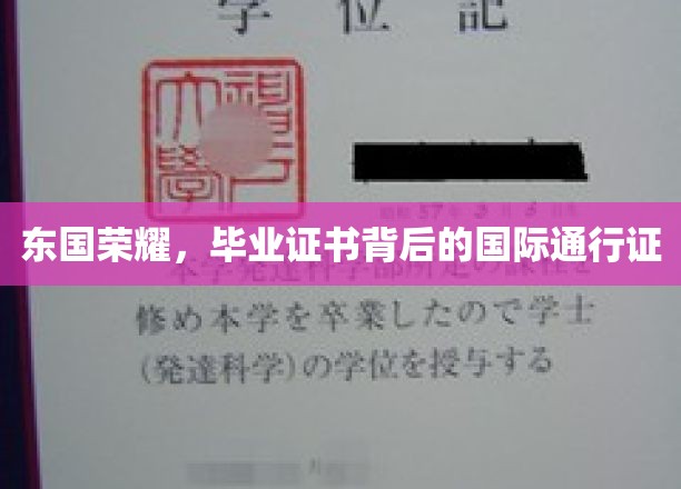 东国荣耀，毕业证书背后的国际通行证