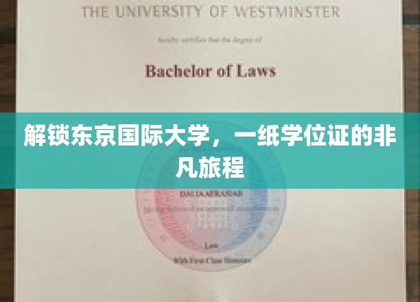 解锁东京国际大学，一纸学位证的非凡旅程