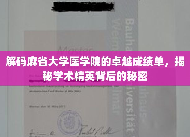 解码麻省大学医学院的卓越成绩单，揭秘学术精英背后的秘密