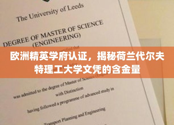 荷兰代尔夫特理工，欧洲精英学府认证下的黄金文凭之路