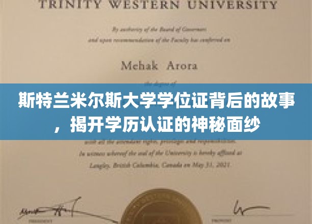 揭秘斯特兰米尔斯大学学位证，学历认证背后的传奇之旅