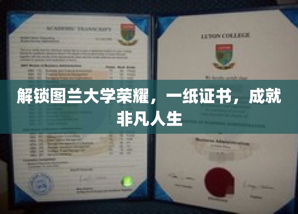 图兰大学荣耀见证，证书背后的非凡人生轨迹