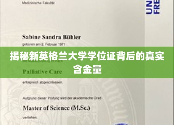 解码新英格兰大学学位证的非凡价值