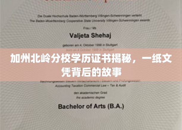 北岭名校证书之谜，探究一纸学历背后的传奇历程