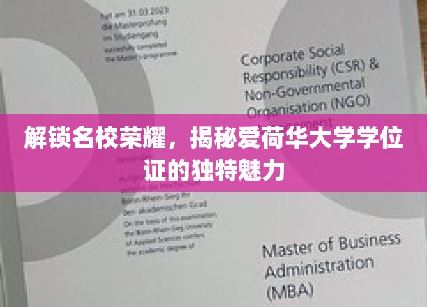 解锁名校荣耀，揭秘爱荷华大学学位证的独特魅力